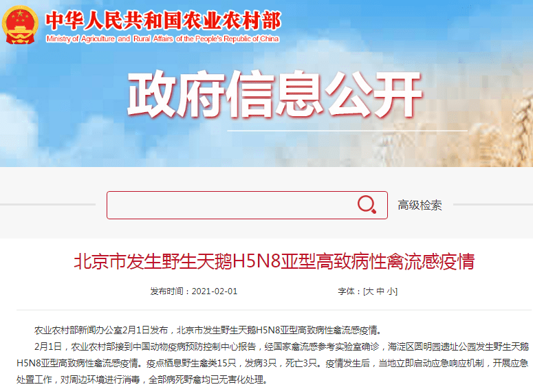 北京发生H5N8禽流感疫情 全球禽流感再次集中爆发