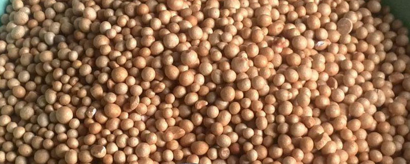 ���ͷ����ʩ��һ����